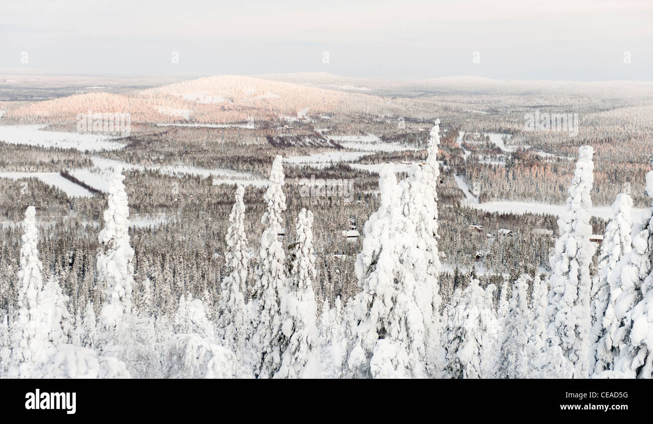 Schneebedeckten auf Iso-Syöte, Finnland Stockfoto