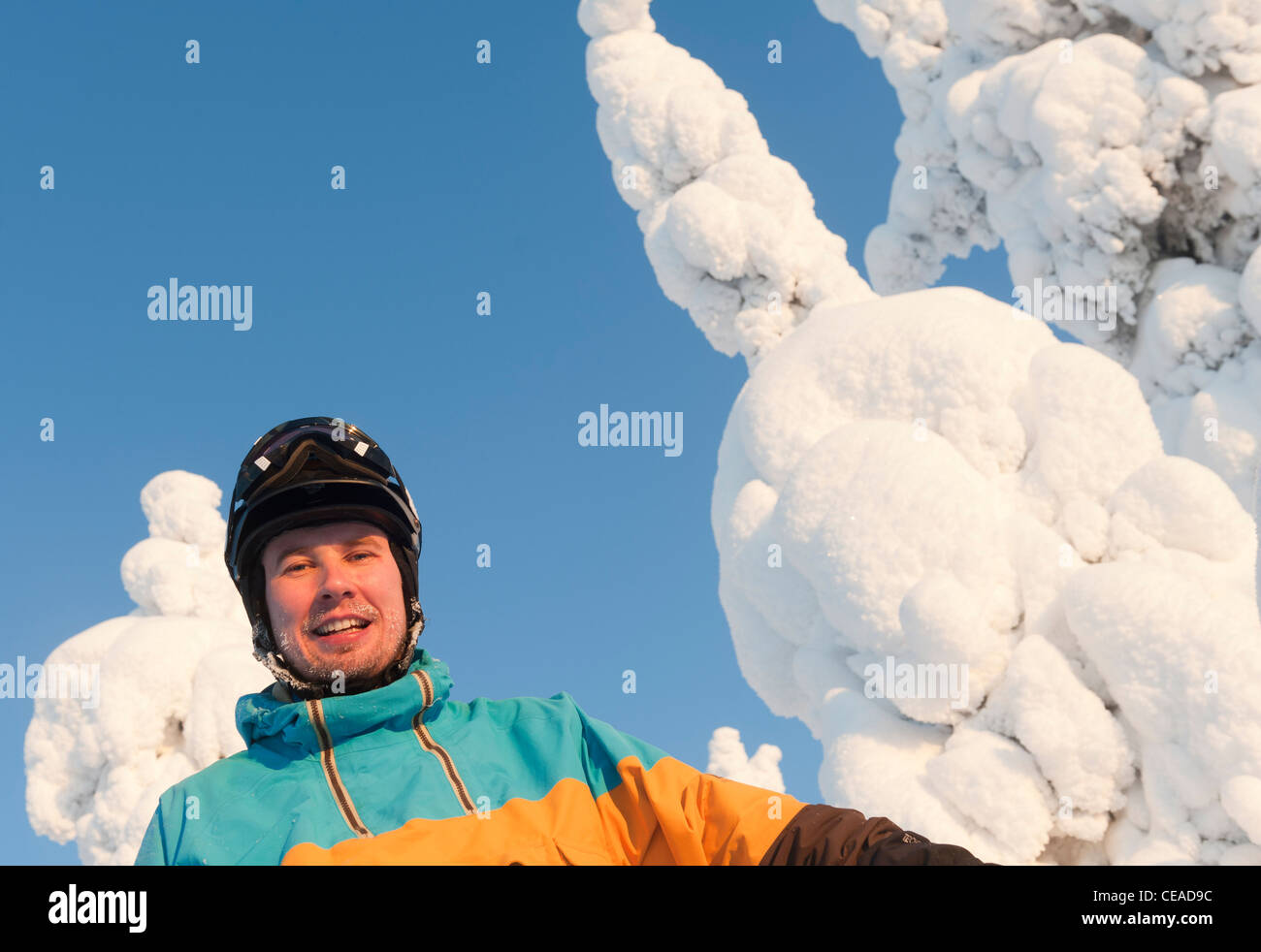 Portrait einer männlichen Skifahrer zwischen schneebedeckten Bäumen in Isosyöte, Finnland. Stockfoto