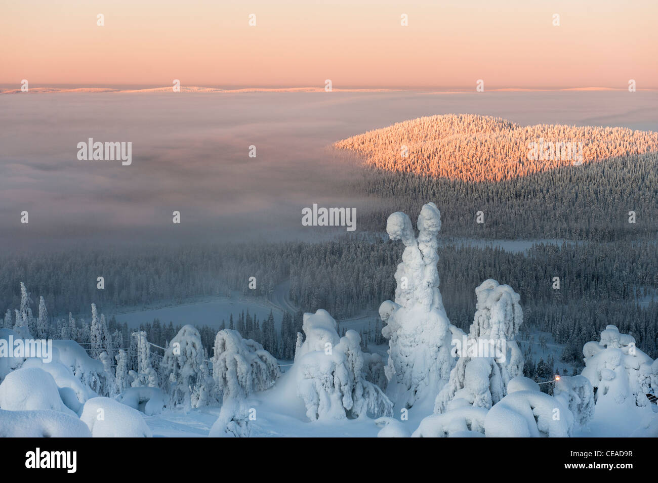 Schneebedeckten auf Iso-Syöte, Finnland Stockfoto