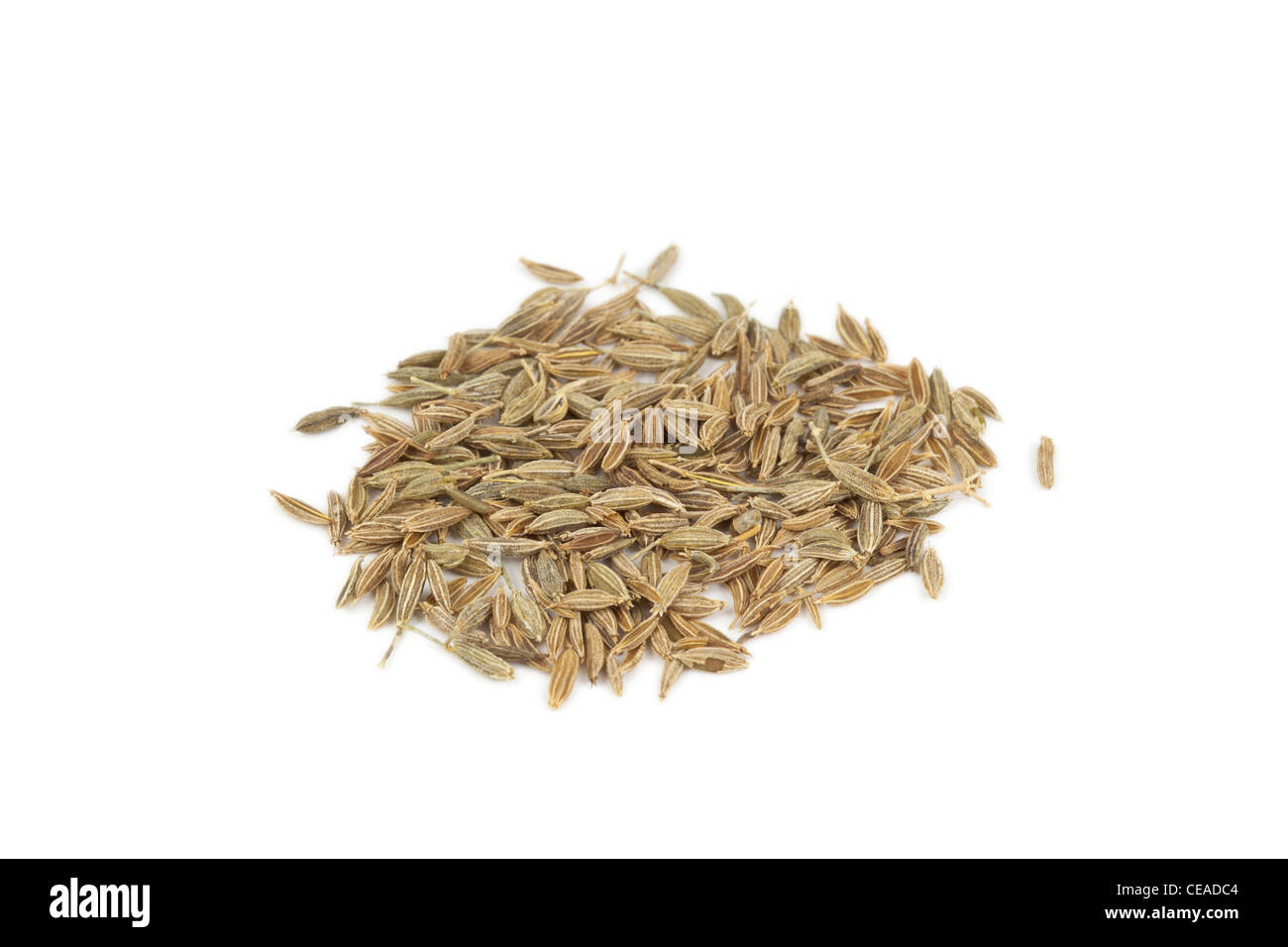 Kreuzkümmel, Cuminum Cyminum, Samen auf weißem Hintergrund Stockfoto