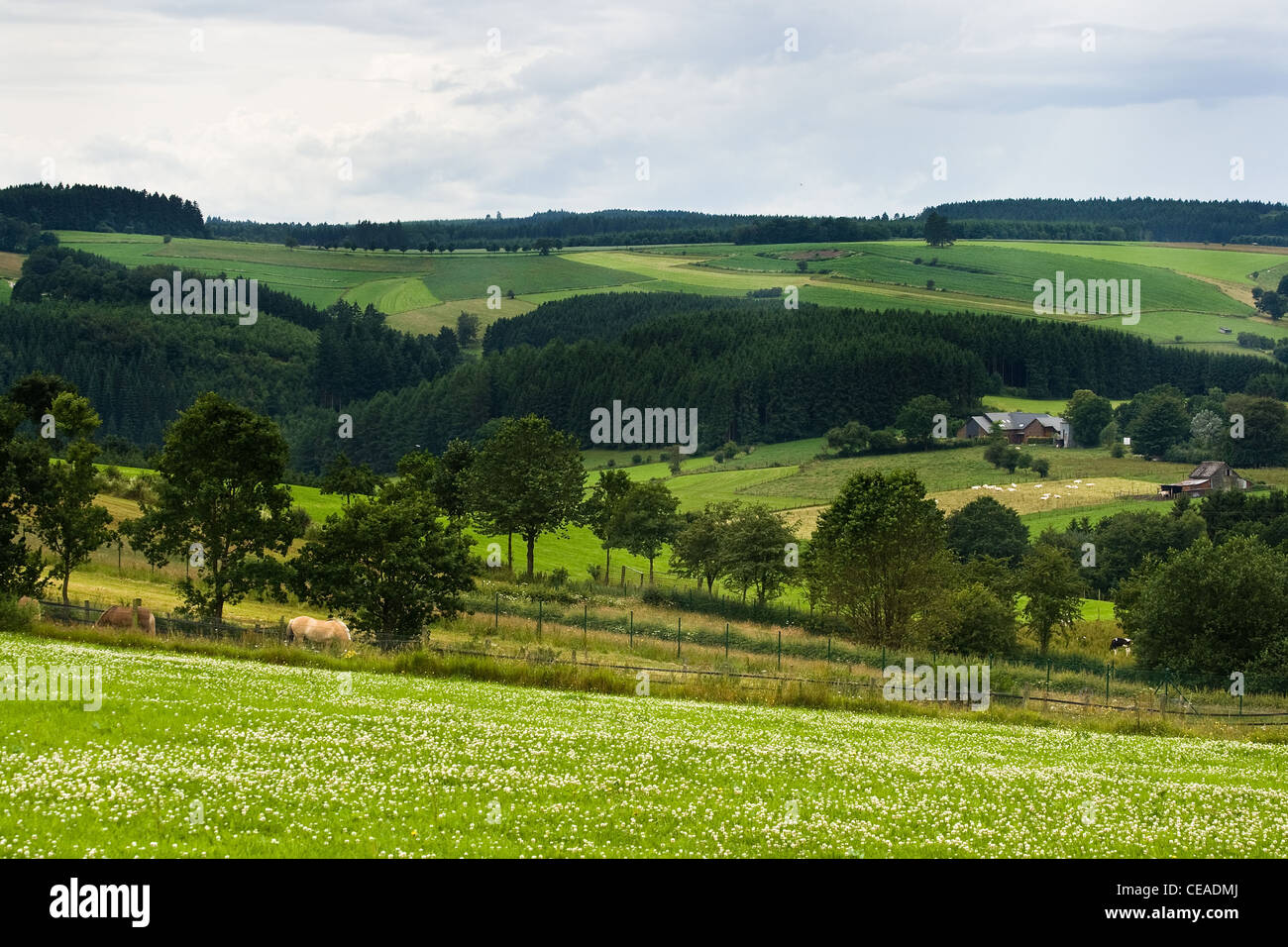 Kulturlandschaft mit Wiesen, Hügeln und Bauernhöfen an bewölkten Sommertag Stockfoto