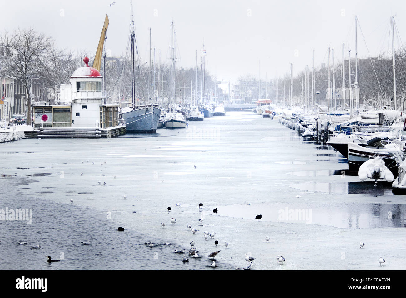 Schnee in der Stadt - Hafen im Winter, es schneit - horizontales Bild Stockfoto