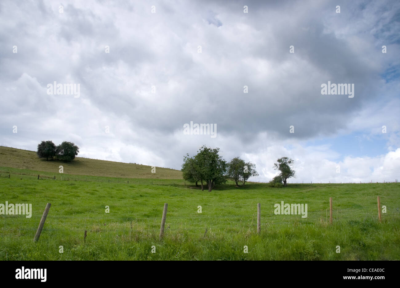 Abfallenden Wiesen mit Rasen und Bäumen an bewölkten Tag im Sommer Stockfoto