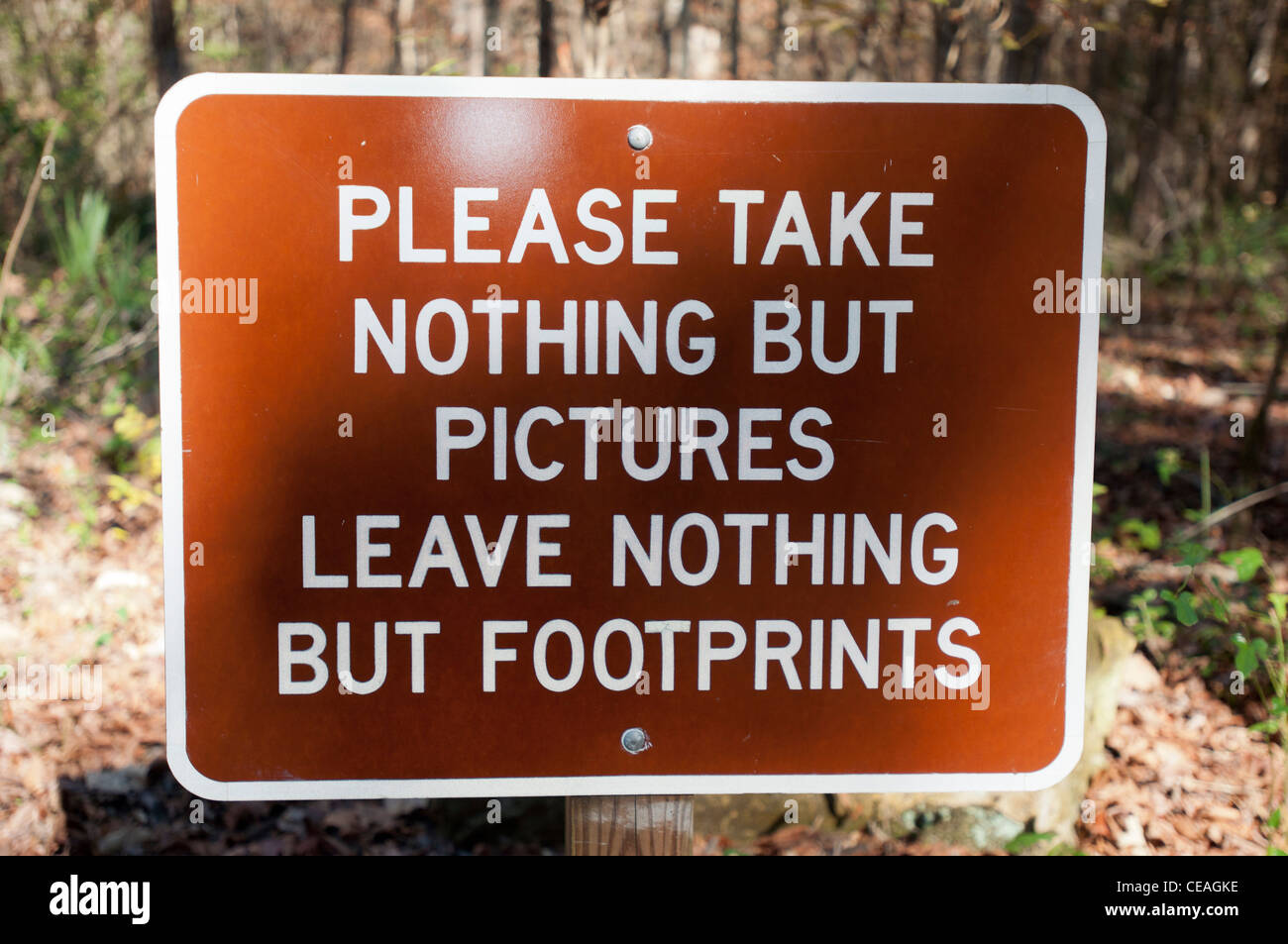Bitte machen Sie nichts als Fotos und hinterlassen Sie nur Fußabdrücke umweltfreundliches Schild auf einem Waldweg in Florida, USA. Stockfoto