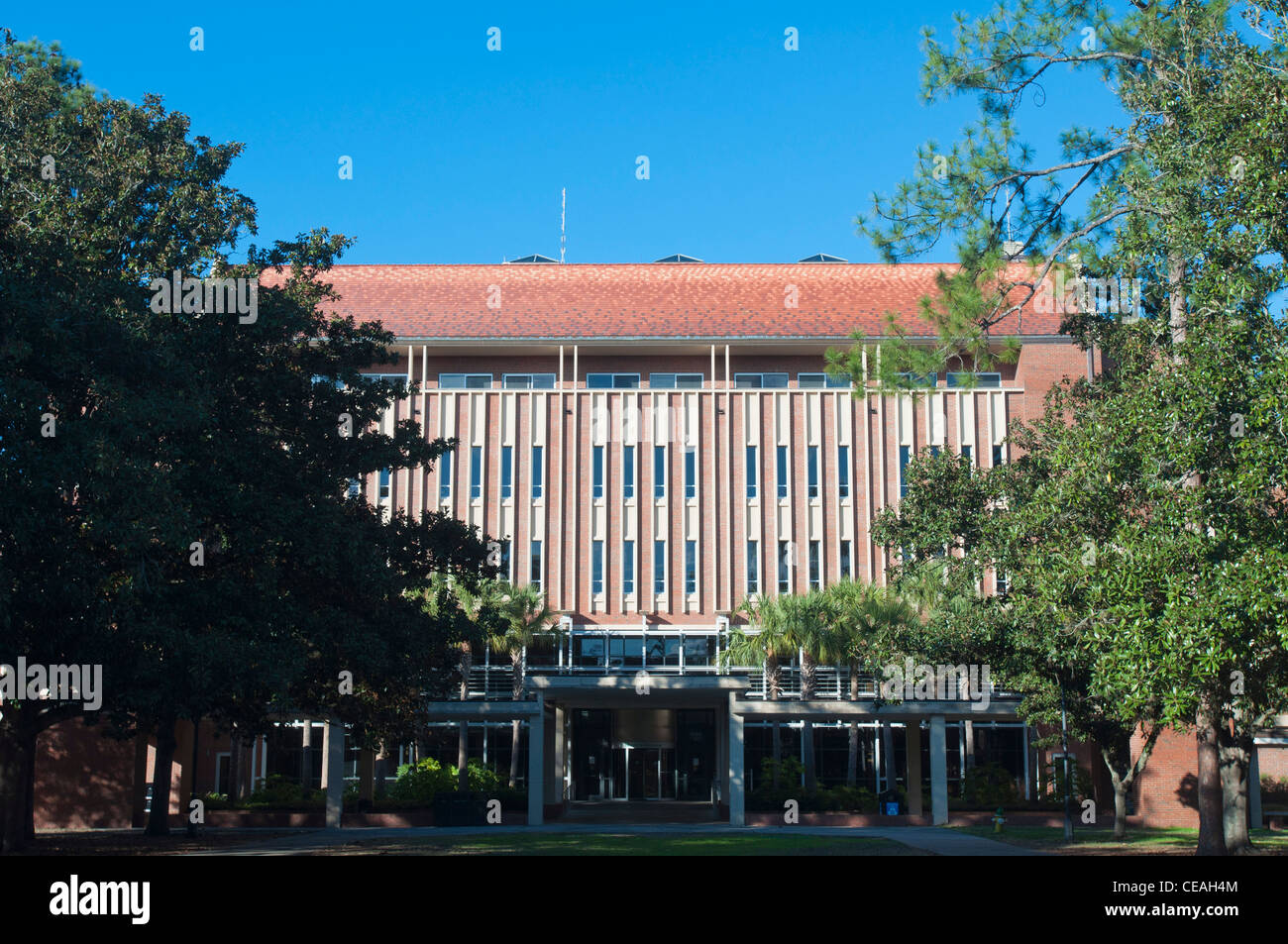 Bibliotheksgebäude West, University of Florida, Gainesville, Florida, USA, USA, Nordamerika Stockfoto