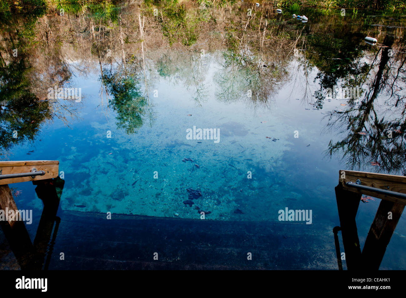 Blue Hole - Ichetucknee Springs State Park, Florida, North America, USA Stockfoto