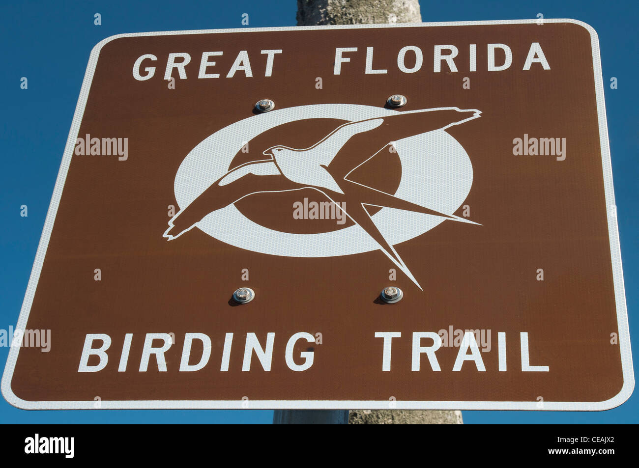 Great Florida Birding Trail Zeichen, Cedar Key, Florida, Vereinigte Staaten, USA Stockfoto