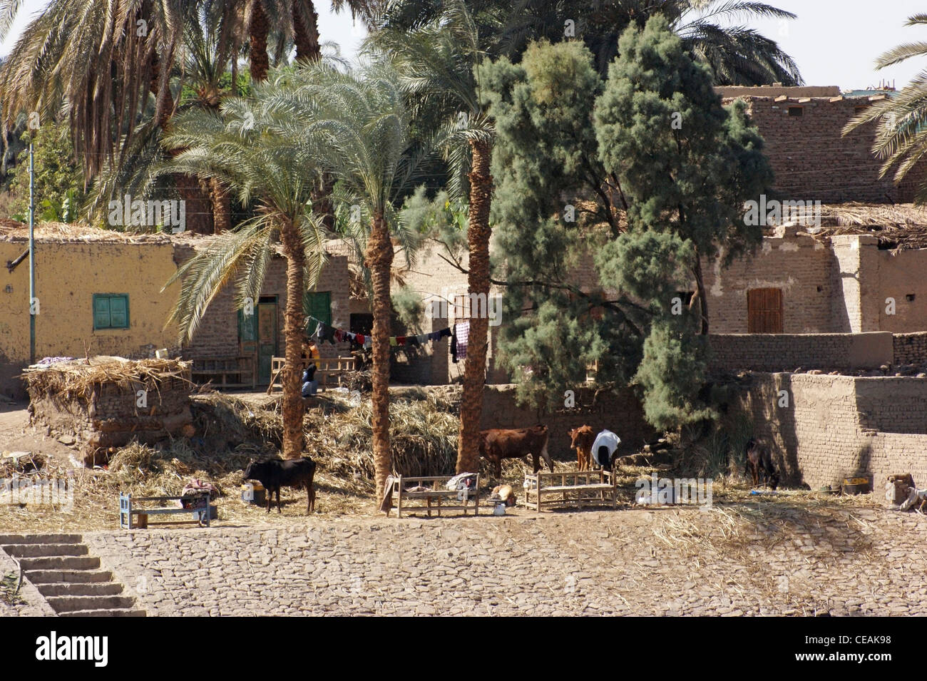 Landliche Agypten Armut Stockfotos Und Bilder Kaufen Alamy