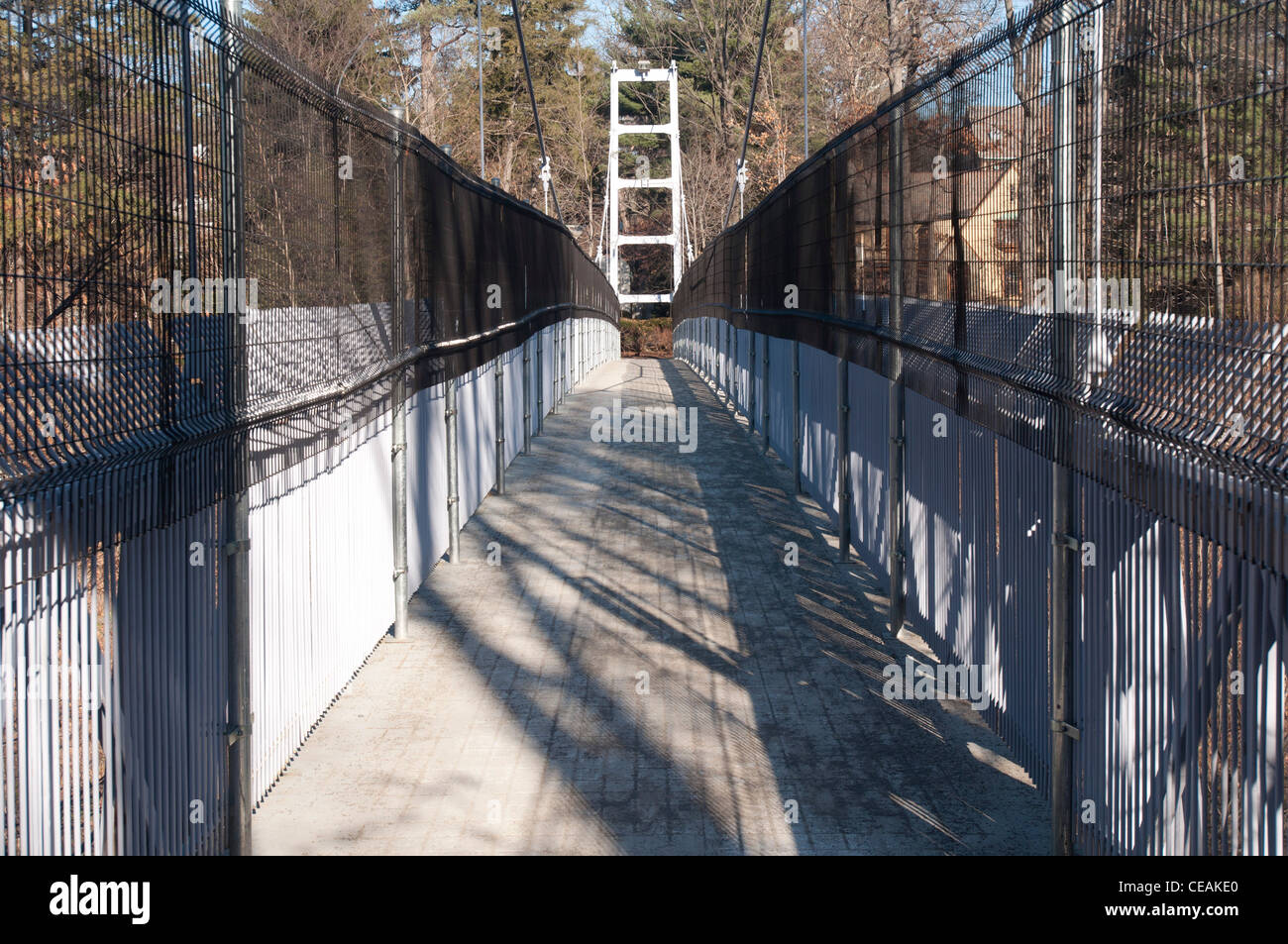 Hängebrücke über den Fall Creek mit zusätzlichen Zäunen, Selbstmorde zu schützen. Cornell University, Ithaca, New York, USA Stockfoto