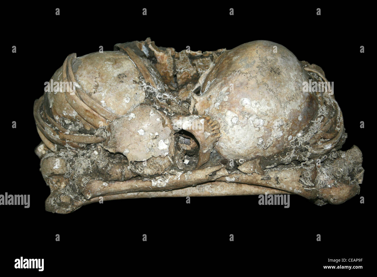 Menschliche Überreste aus einer prä-kolumbianischen Paket Bestattung, Costa Rica Stockfoto