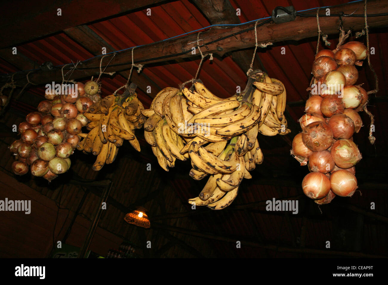 Zwiebeln und Bananen von den Sparren In einer traditionellen Costa Rica Restuarant hängen Stockfoto