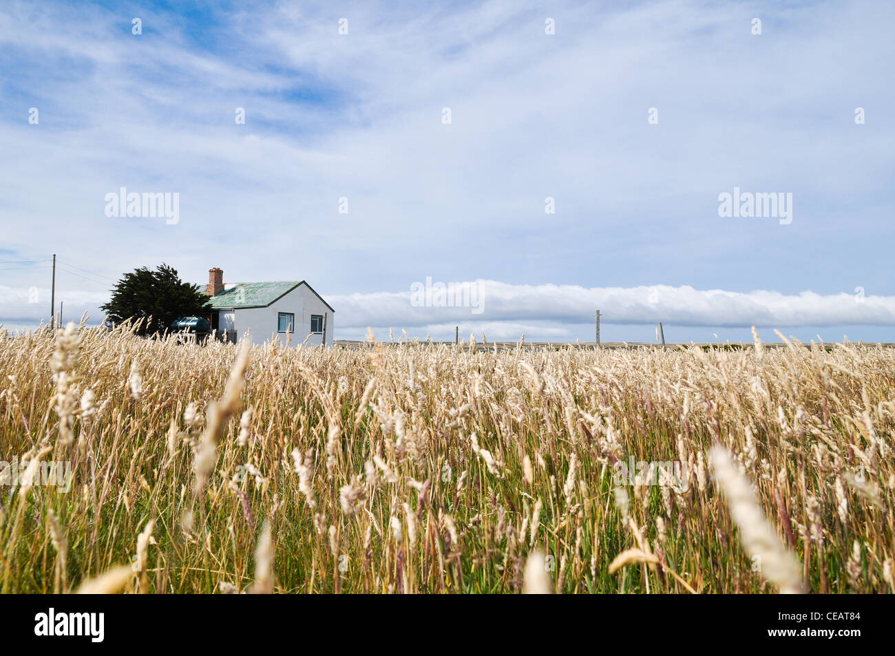 Blick auf Goose Green Siedlung Falkland Stockfoto