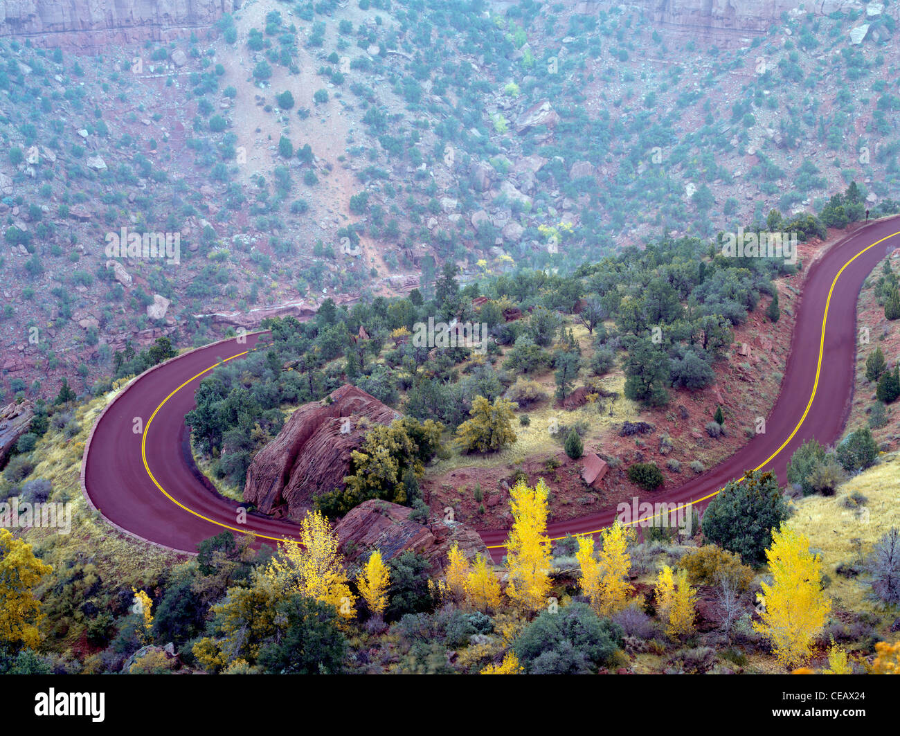 Straße mit Herbstfarben im Zion Nationalpark, Utah Stockfoto