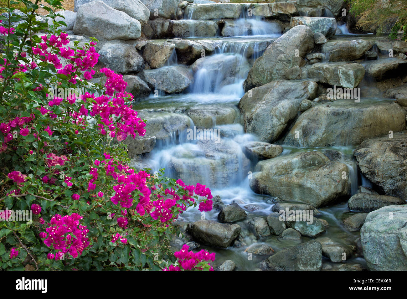 Stream im Desert Willow Golfresort. Palm Desert, Kalifornien Stockfoto