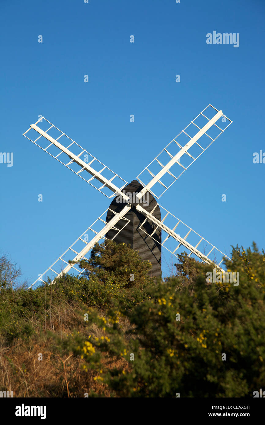 Reigate Windmühle Postmill Kirche in Heide Reigate, Surrey im Februar mit Ulex Europaeus Ginster im Vordergrund Stockfoto