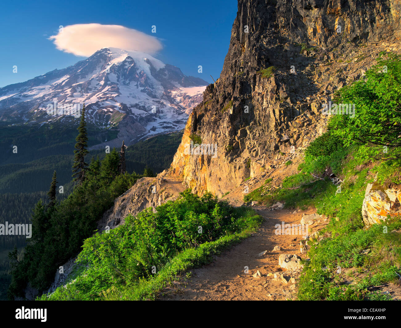 Pfad und Mt. Rainier mit linsenförmige Wolke. Mt. Rainier Nationalpark, Washington Stockfoto