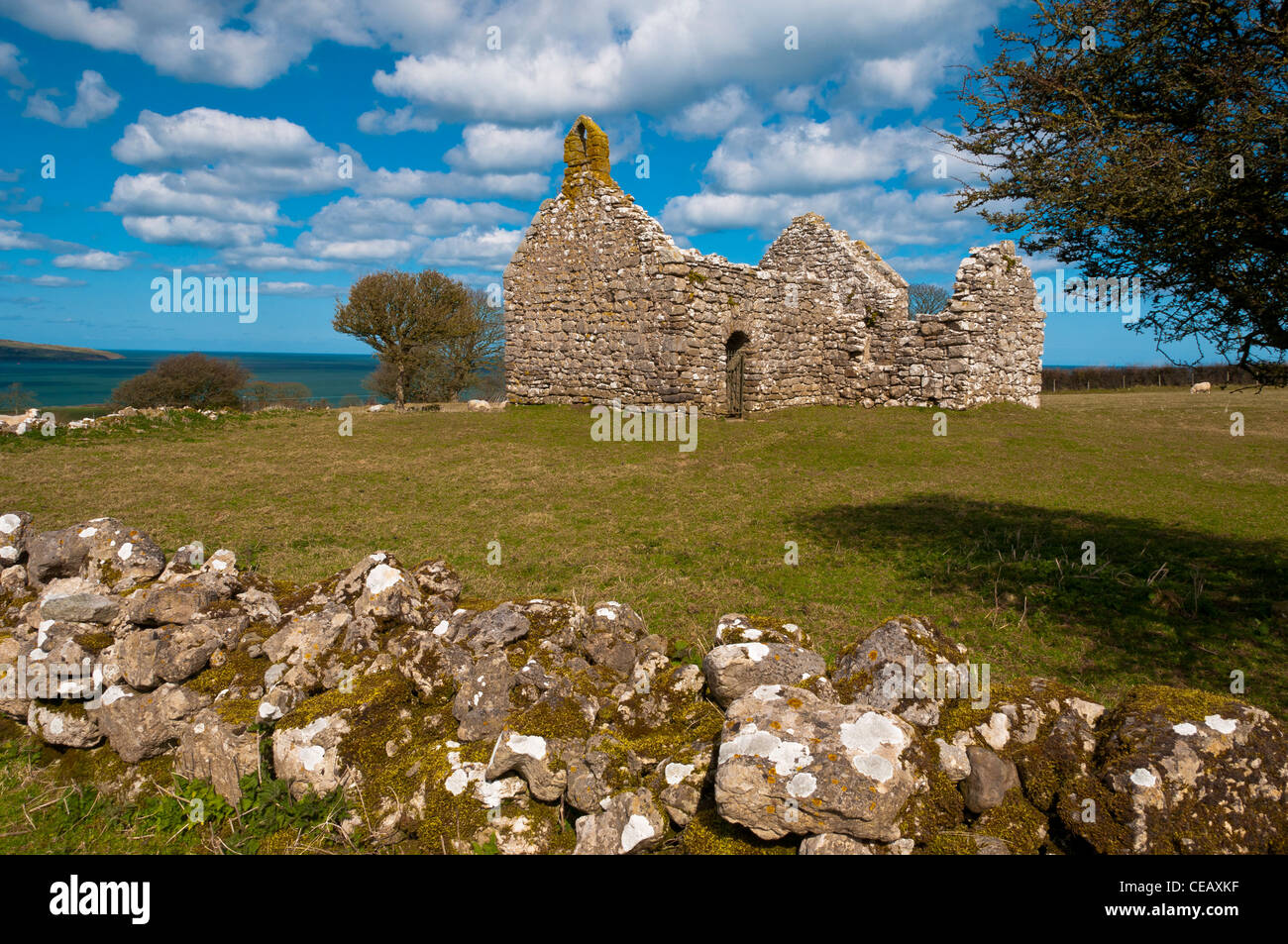 DIN Lligwy Kirche Anglesey North Wales Uk Stockfoto