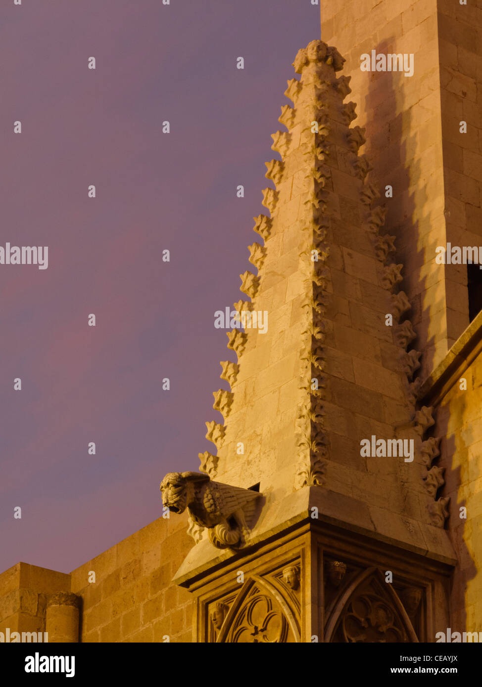 Gotische Kathedrale von Tarragona, Spanien Stockfoto