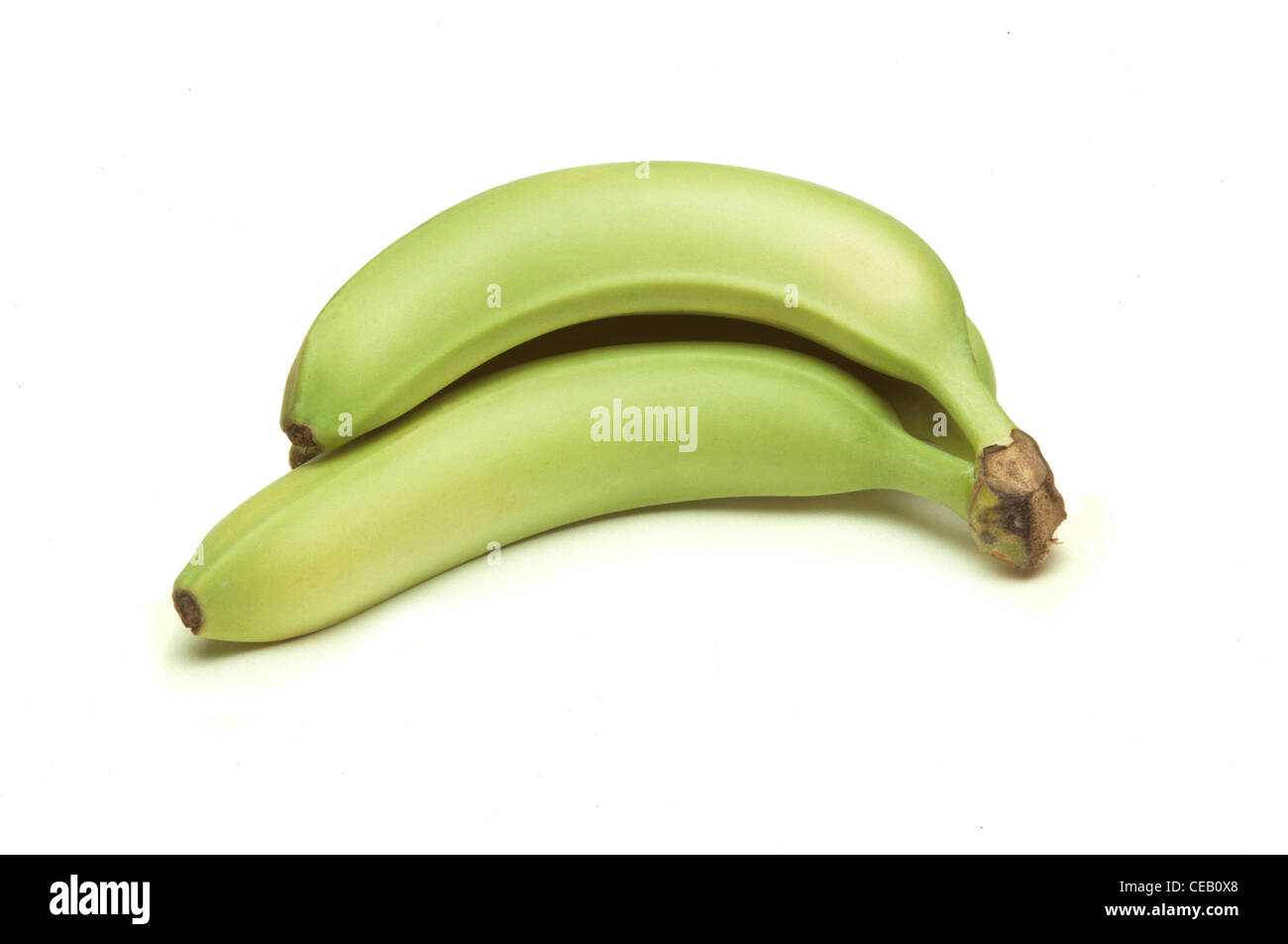 Zwei grüne Bananen auf weißem Hintergrund Stockfoto