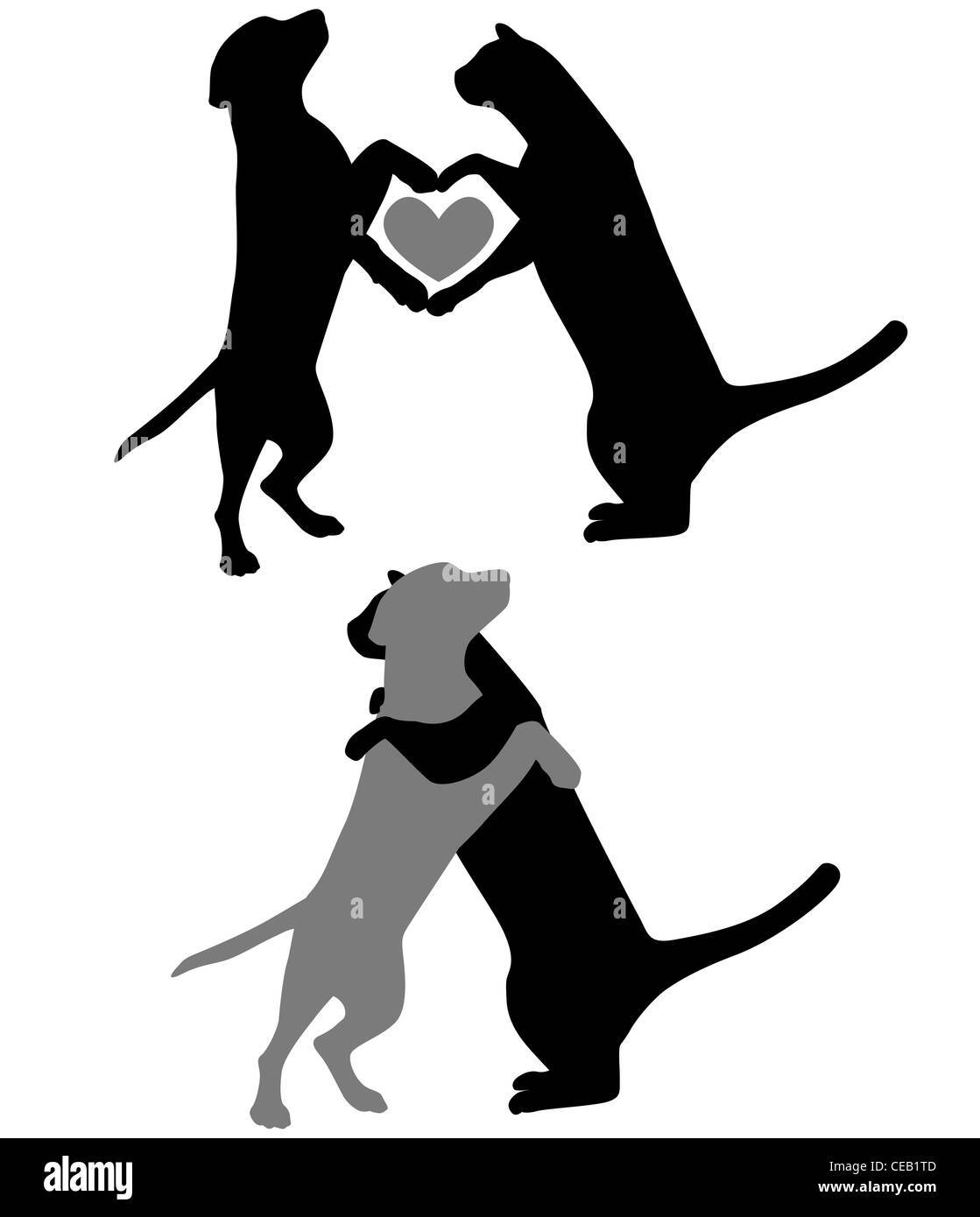 Katze und Hund Silhouette Stockfotografie - Alamy