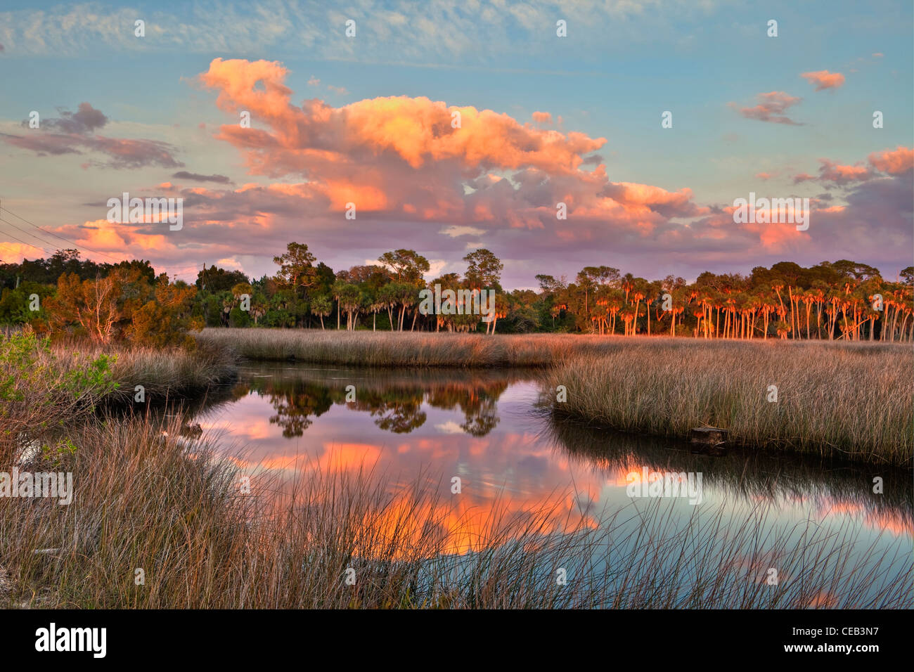 Abend Wolken über Priel durch Salzwasser Marsh, Hernando County, Florida Stockfoto