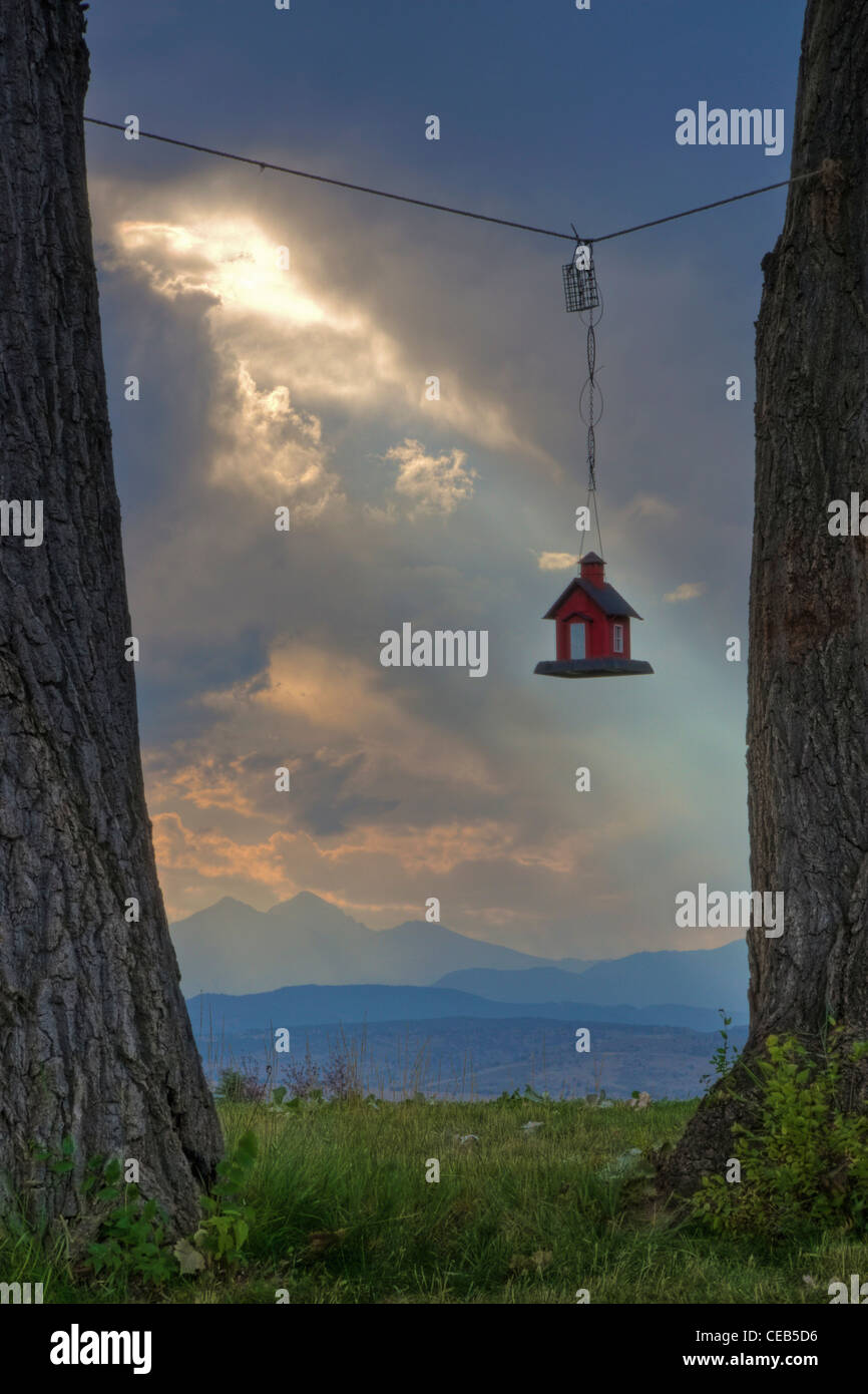 Ein Vogelhaus schweben zwischen zwei Pappeln Stockfoto