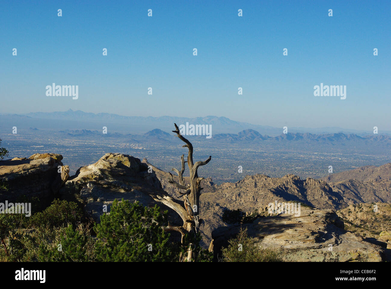 Blick auf Wüste aus Mount Lemmon, Arizona, Tucson und fernen Bergketten Stockfoto