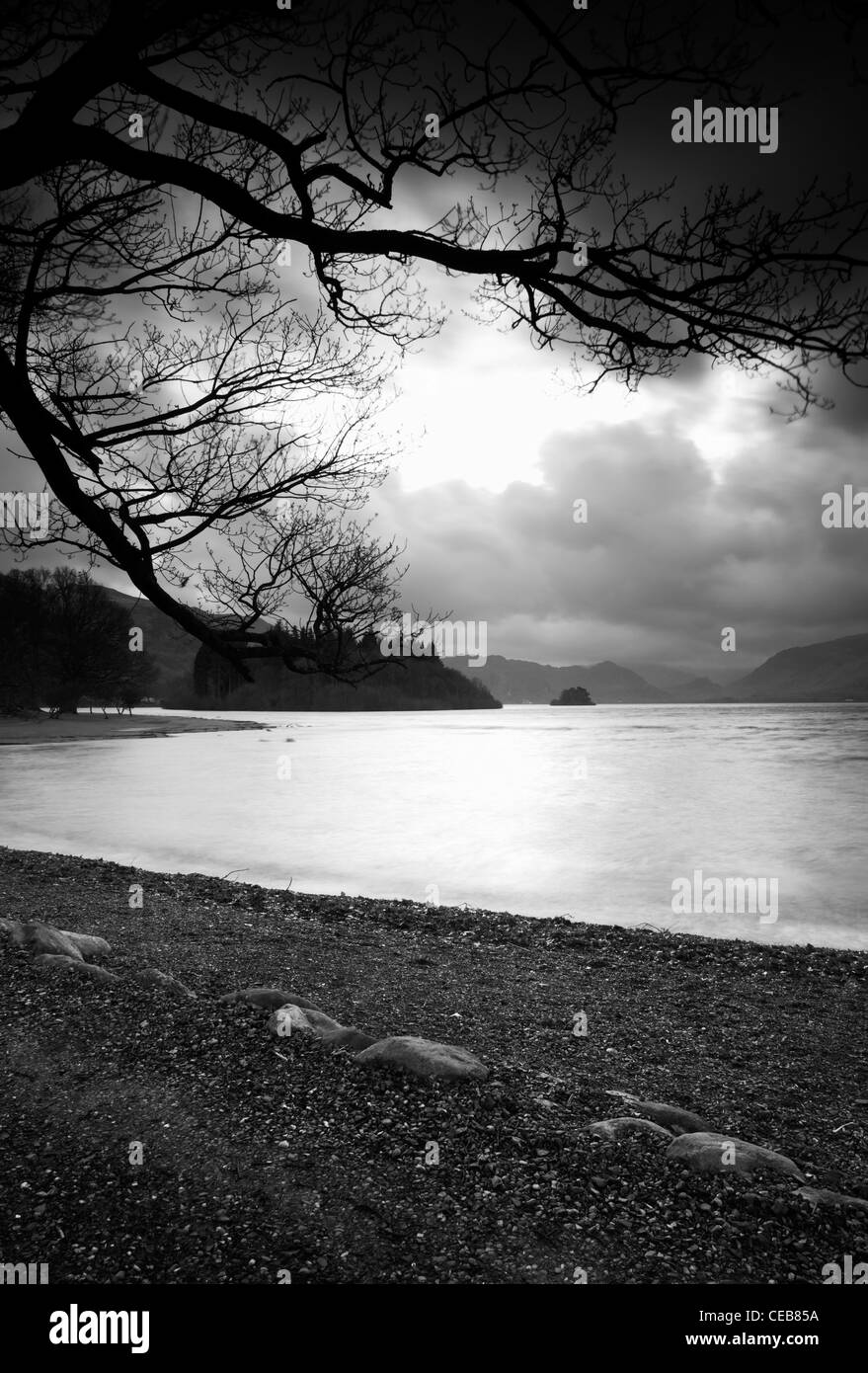 Blick entlang der Kiesstrand am Derwentwater. Die Zweige von einem nahe gelegenen Baum sind gegen den stürmischen Himmel abhebt. Stockfoto