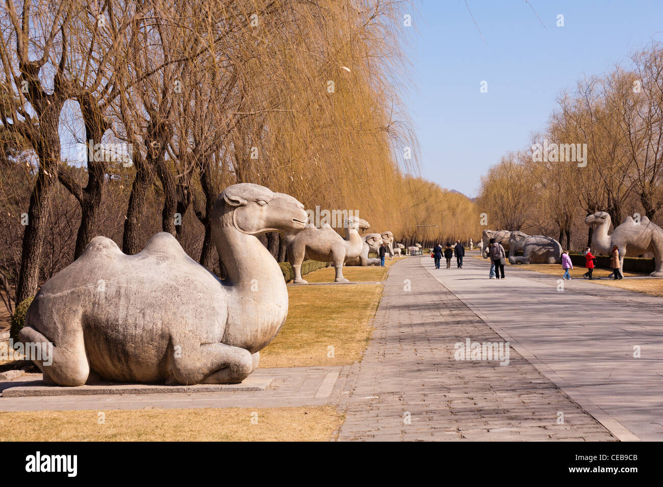 Der Heilige oder Geist Weg führt zu den Ming-Gräbern außerhalb von Peking, China. Stockfoto
