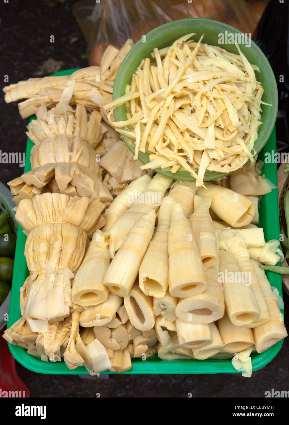 Bambus-Sprossen zum Verkauf an Chinatown Markt Cholon Ho Chi Minh City,  Vietnam Stockfotografie - Alamy