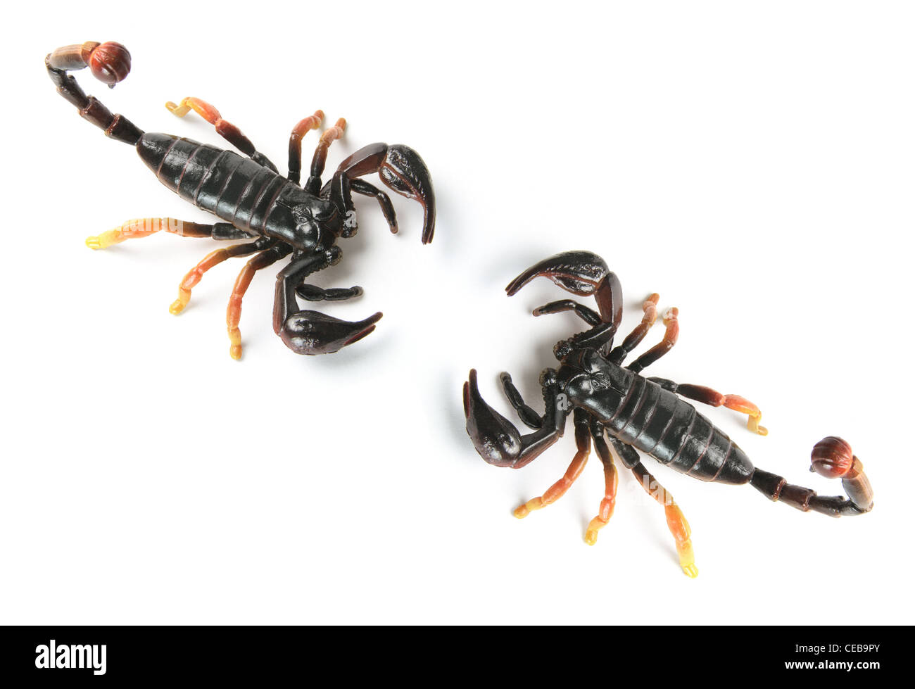 Kunststoff-Scorpions Stockfoto