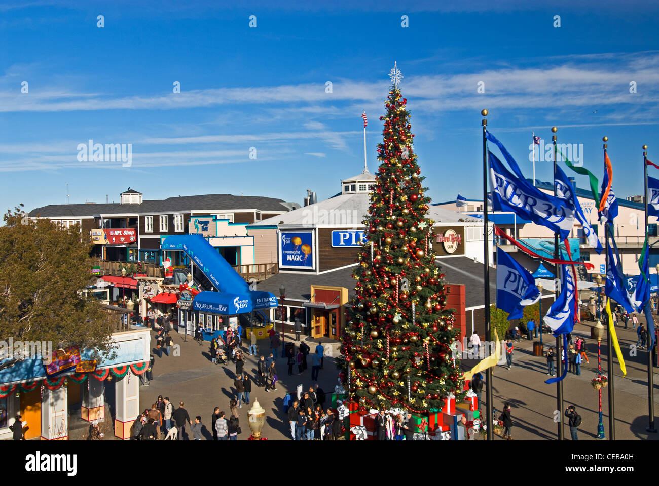 Weihnachtsbaum und Urlaub Dekor am Pier 39, San Francisco, Kalifornien Stockfoto