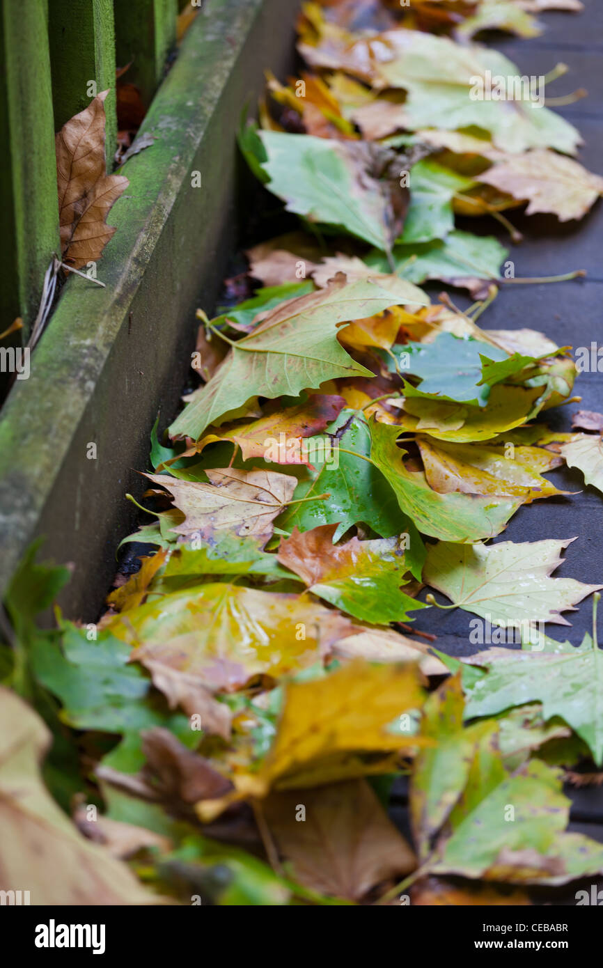 Im Herbst Laub auf dem Boden durch einen Zaun Stockfoto
