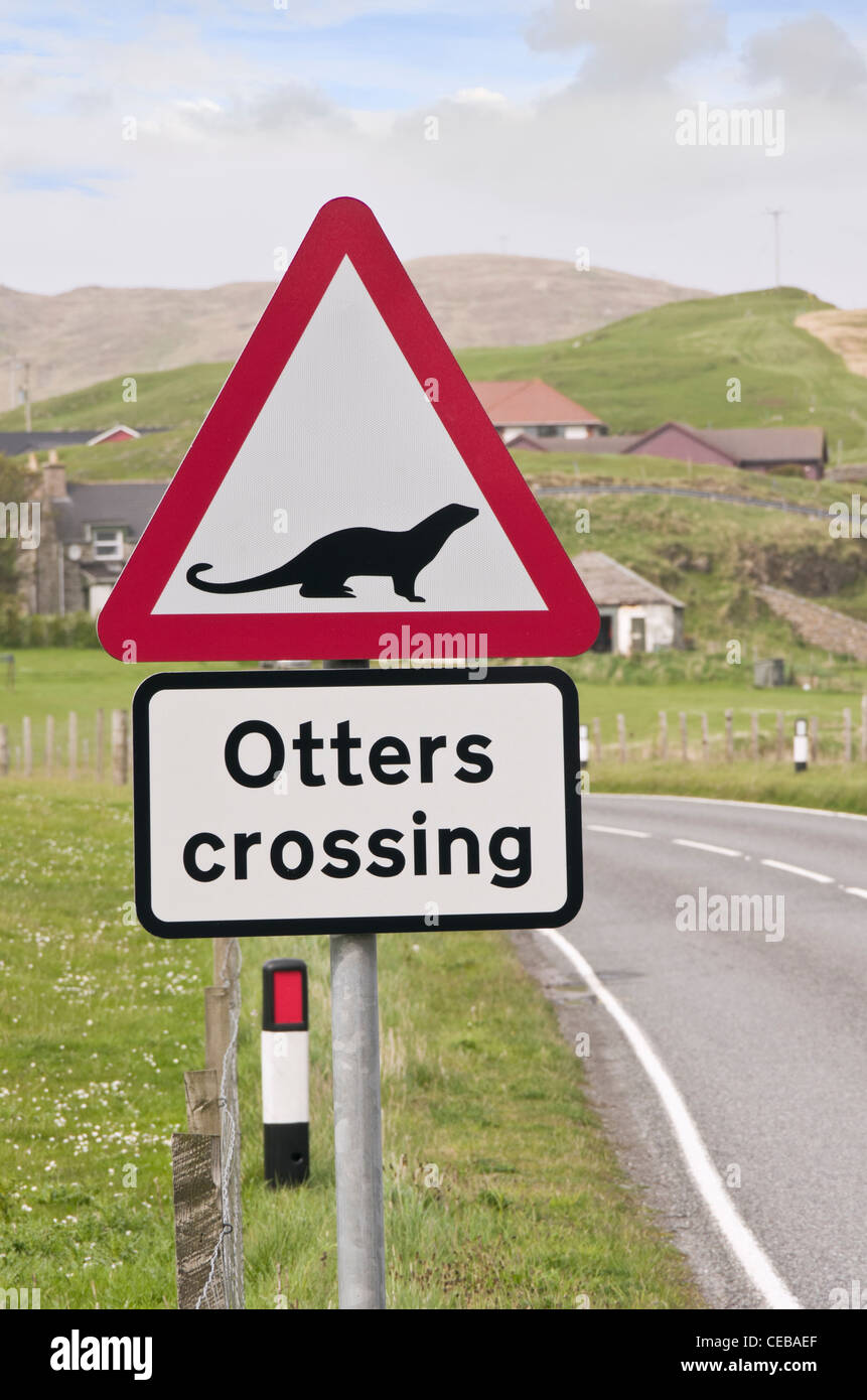 Rotes Dreieck Straße Zeichen Warnung Otter überqueren. Weiße, Shetland Islands, Schottland, UK, Großbritannien Stockfoto