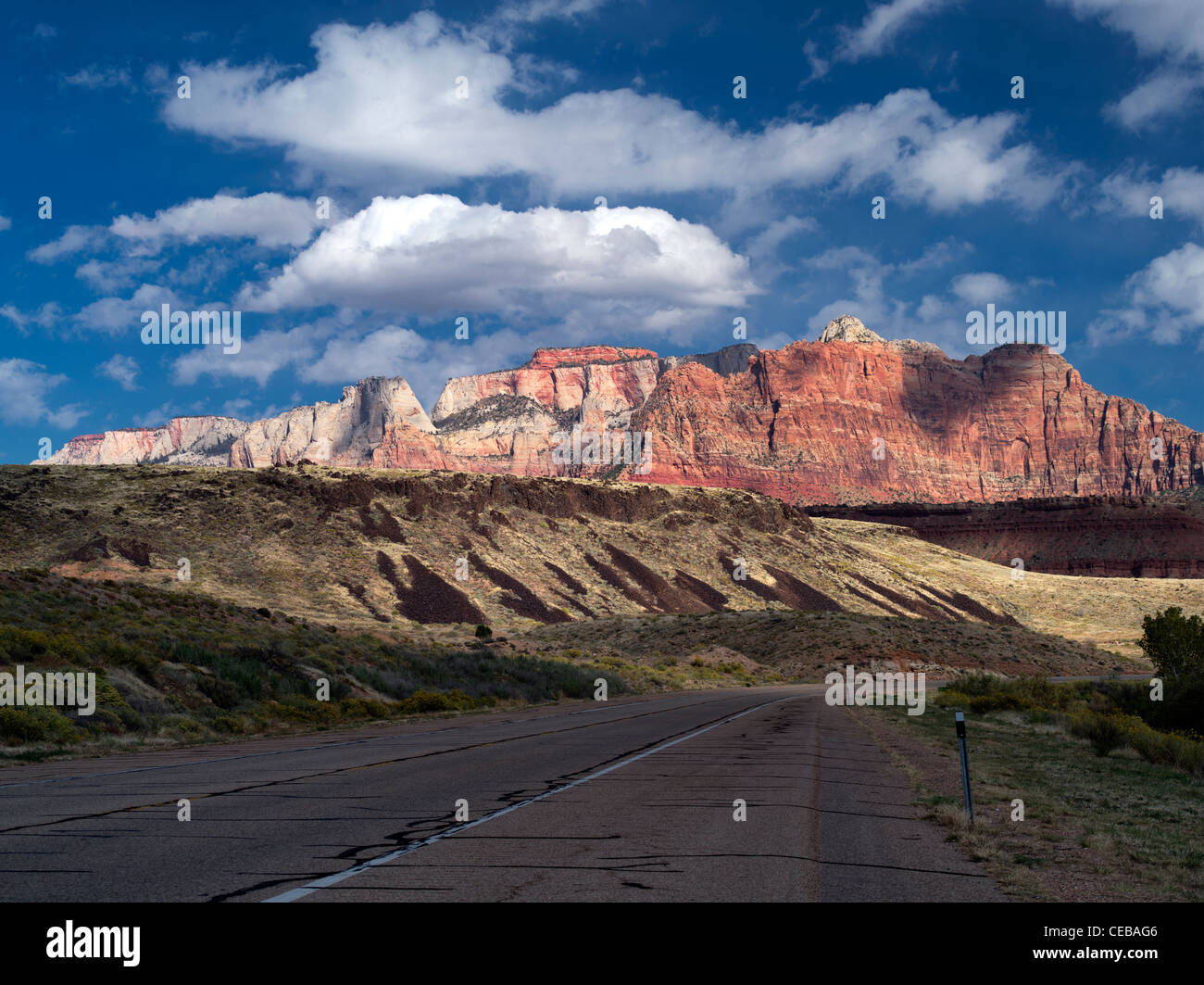 Straße in Zion Nationalpark, Utah Stockfoto