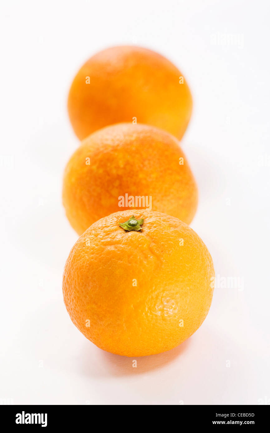 Citrus X sinenesis. Drei Blutorangen auf weißem Hintergrund. Stockfoto