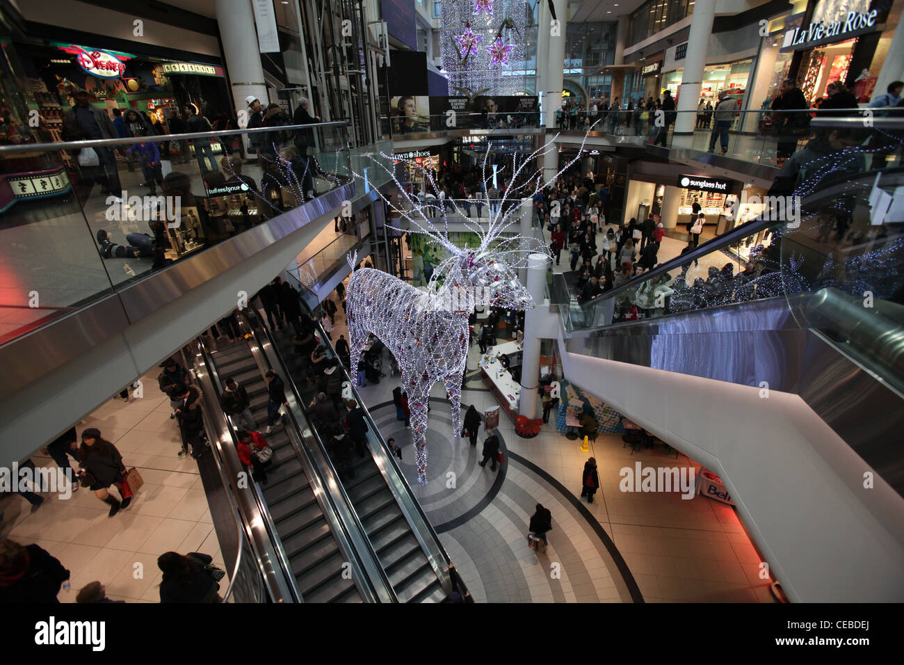 Swarovski Weihnachts Rentier im Toronto Eaton Centre Weihnachtszeit 2011 Stockfoto