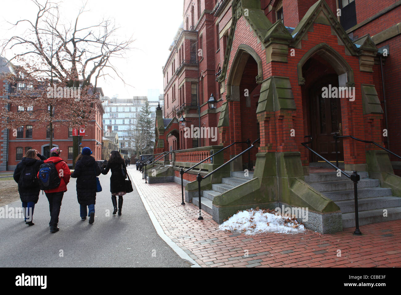 Campus der Harvard Universität in Cambridge, Massachusetts Stockfoto