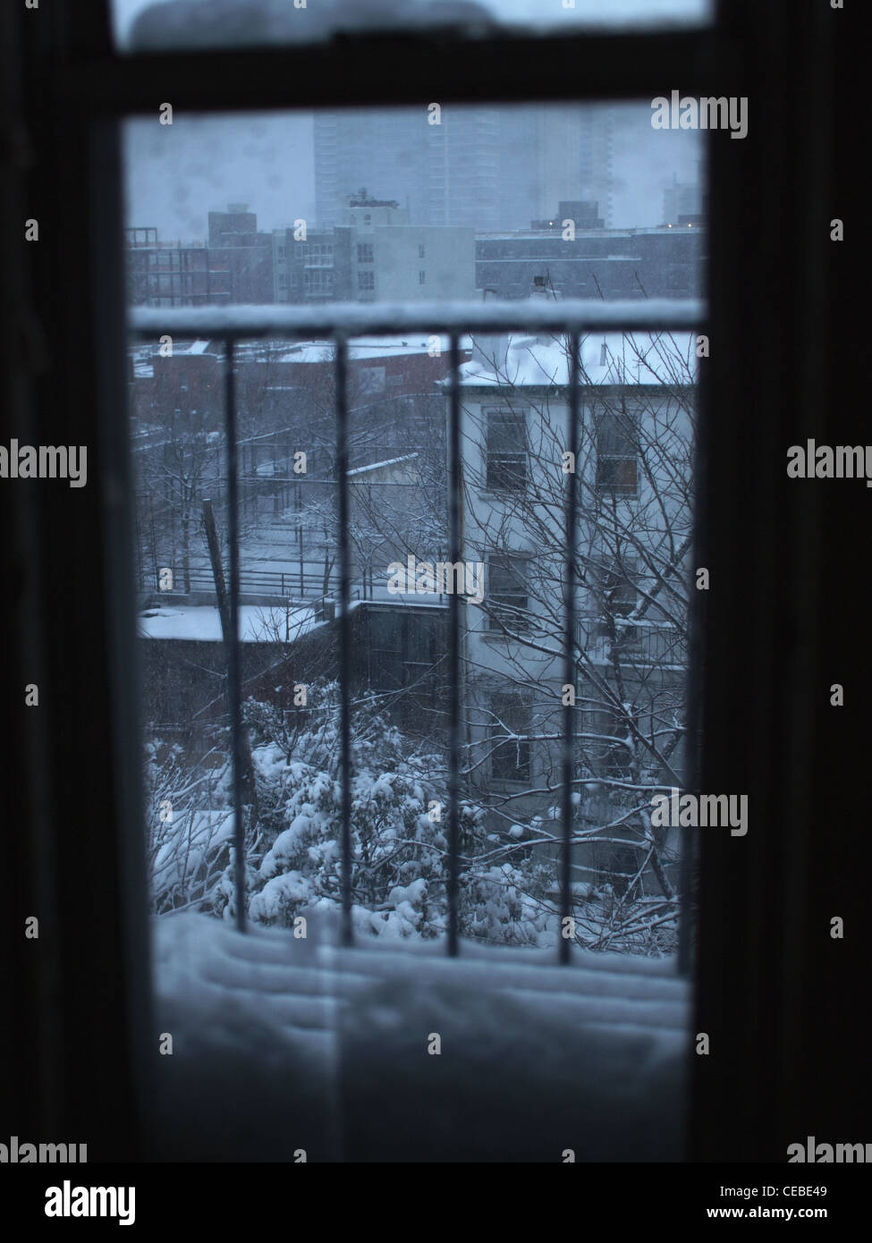 Schneesturm durch Fenster, Brooklyn, New York Stockfoto