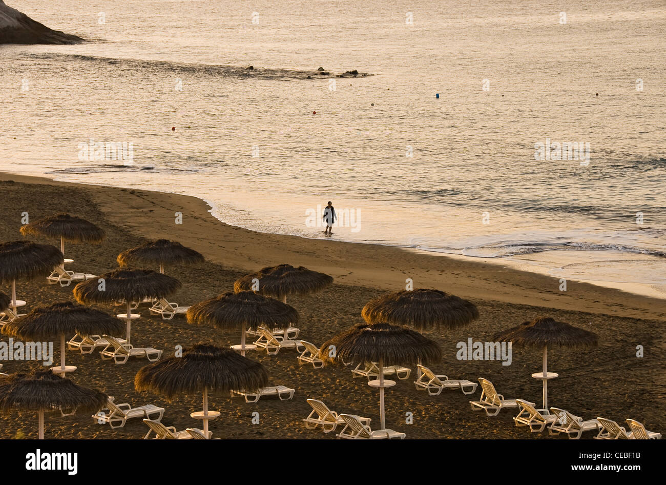 Mann allein zu Fuß am Strand, am frühen Morgen. Playa del Duque. Costa Adeje, Teneriffa, Kanarische Inseln, Spanien, Europa. Stockfoto