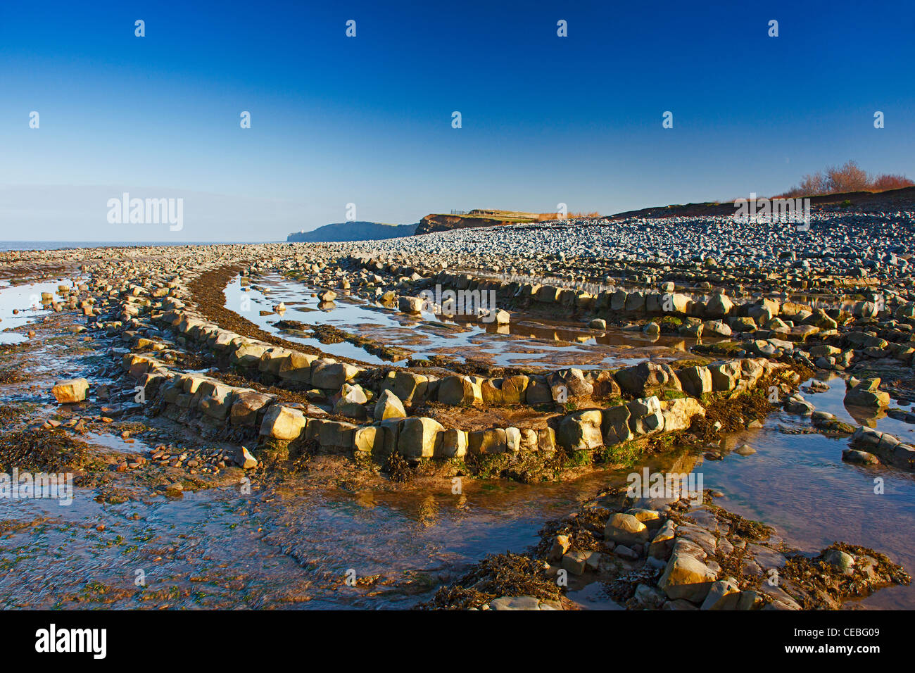 Dramatische blaue Lias rock Schichten am Strand von Kilve auf den Kanal von Bristol, Somerset, England, UK Stockfoto