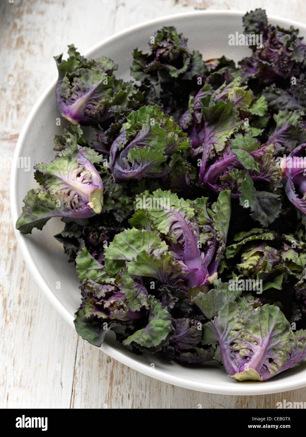 Blumen sprießen frische Zutaten Stockfoto