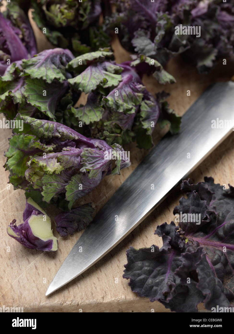 Blumen sprießen Zutaten Stockfoto