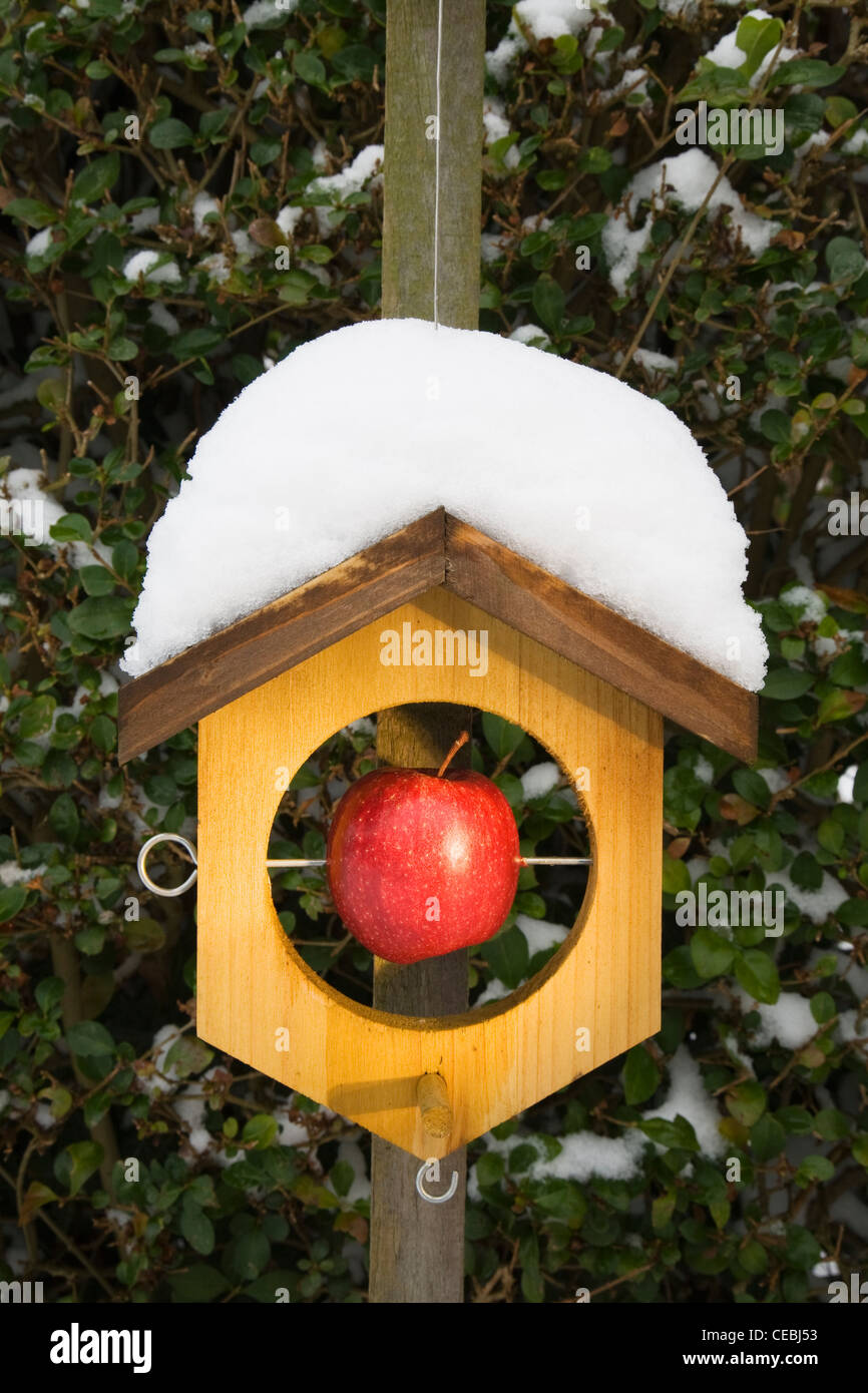Ein roter Apfel in ein Vogelhaus mit Schnee bedeckt Stockfotografie - Alamy