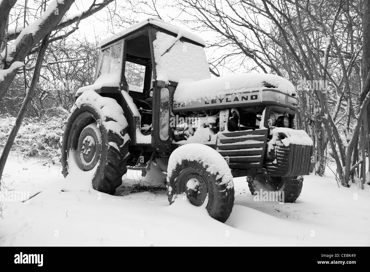 Eine alte verlassene Leyland Traktor sitzt unter einer Schicht aus Schnee im Wald Stockfoto