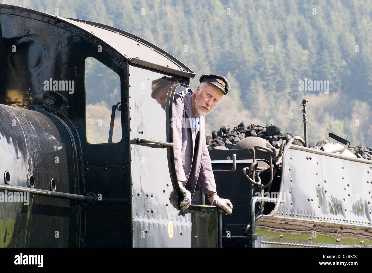 Dampflok zieht einen Zug auf der Llangollen Railway, der Lokführer, die darauf warten, fahren Stockfoto