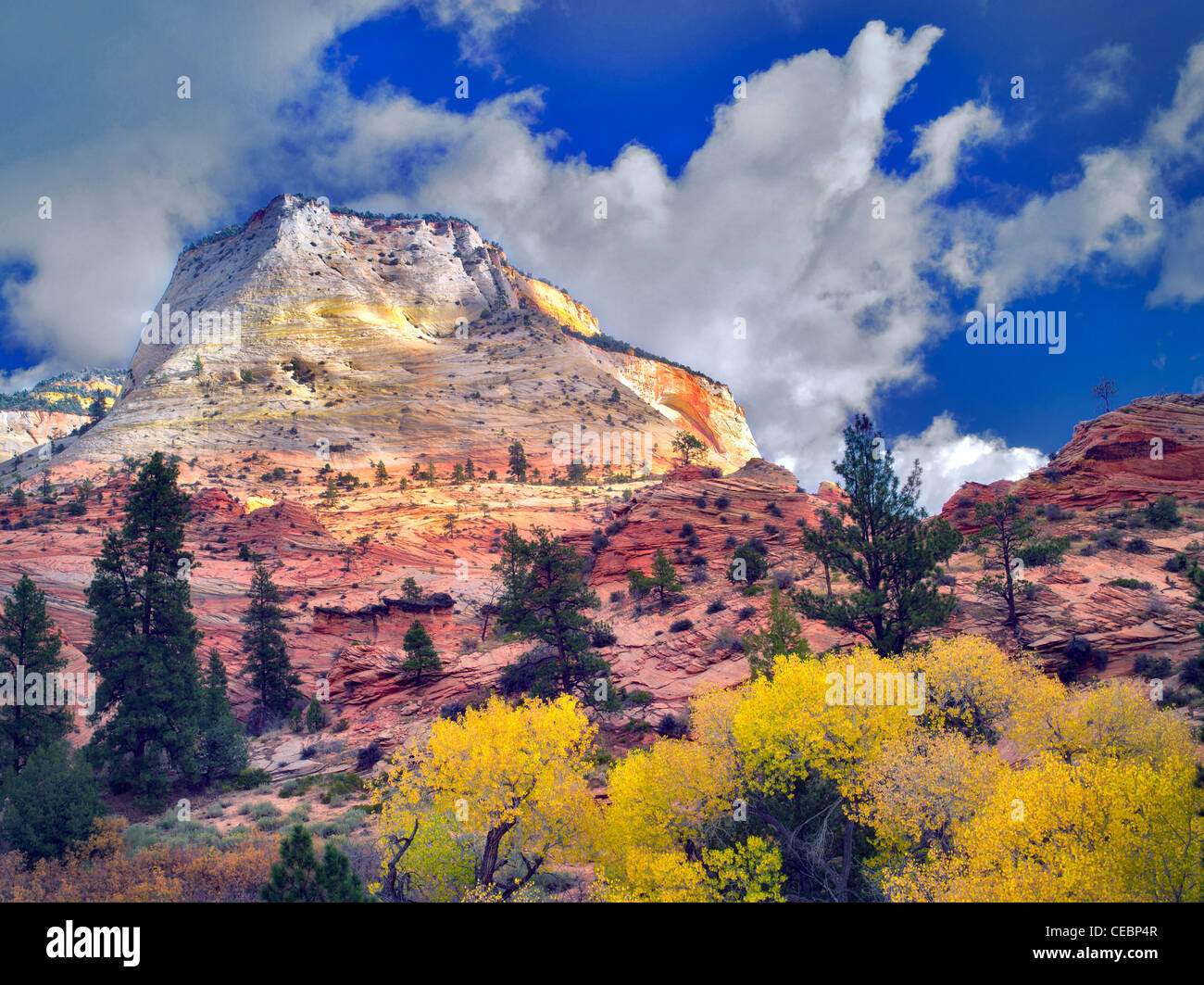 Fallen Sie Farbe und clouds.in Zion Plateau Zion Nationalpark, Utah Stockfoto