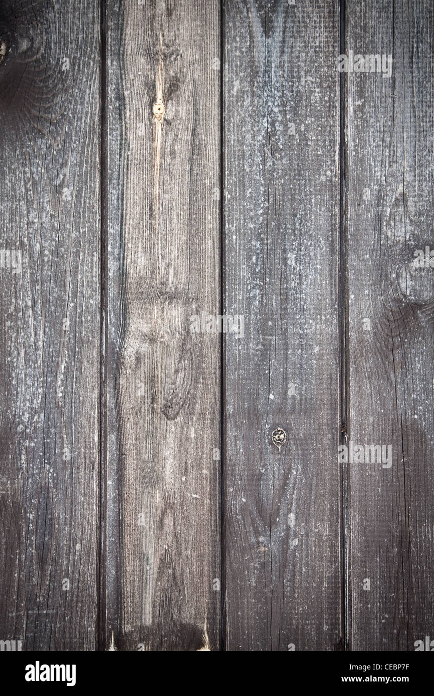 Textur des Holzes Graupappe mit einem weichen vignetted. Stockfoto