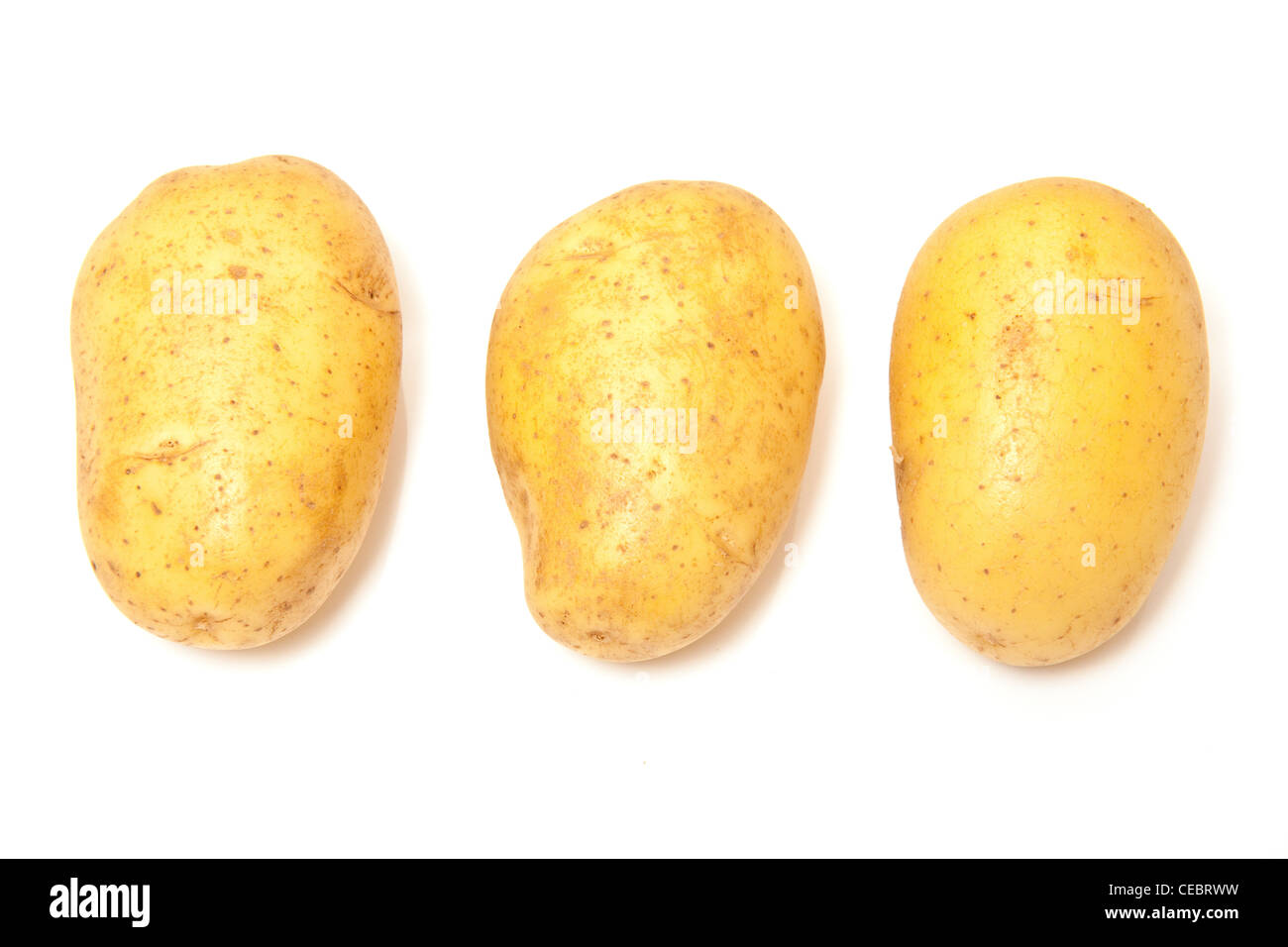 Vivaldi Backkartoffeln isoliert auf einem weißen Studio-Hintergrund. Stockfoto