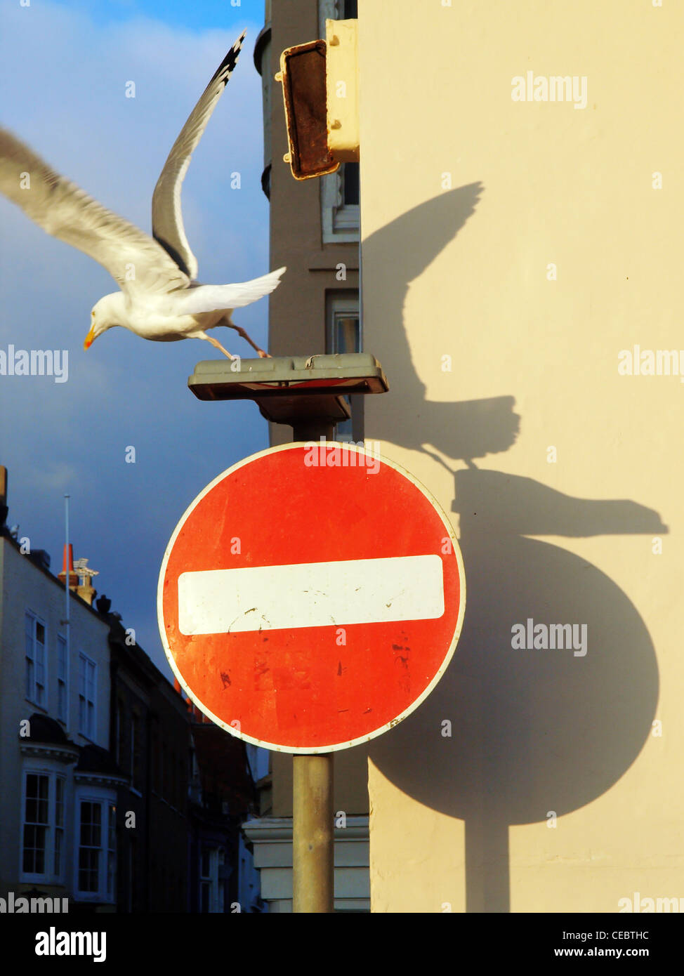Eine Möwe fliegt Aways aus einem kein Eintrag Verkehrszeichen in Brighton. Stockfoto